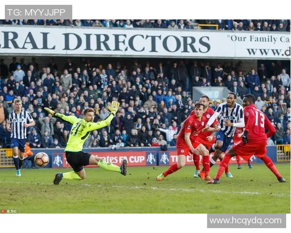 卫报：埃及和伊朗要求FIFA阻挠在世界杯小组赛举办LGBTQ+活动