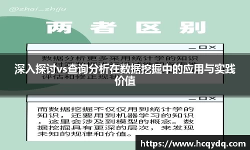 深入探讨vs查询分析在数据挖掘中的应用与实践价值